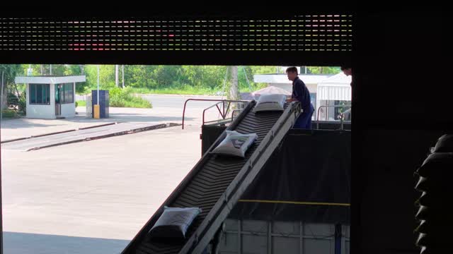 Conveyor Loading Feed Bags