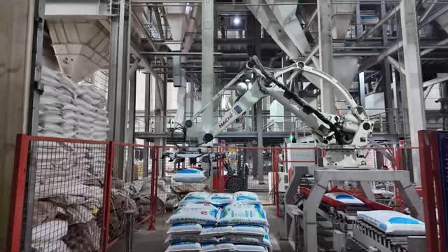 Robotic Palletizer Feed Plant