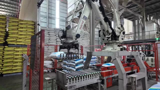 Robot Arm Palletizing Feed