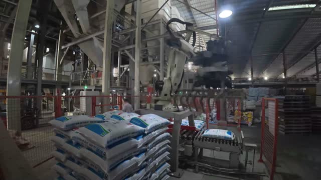 Feed Mill Robotic Palletizer