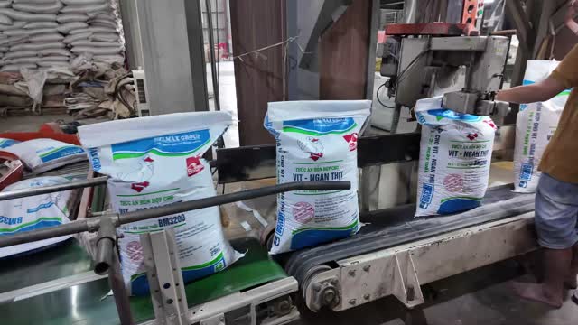 Feed Bags On Conveyor Line