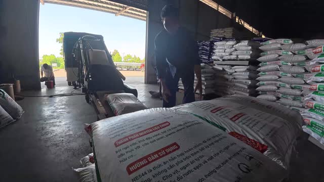 Loading Feed Sacks On Conveyor
