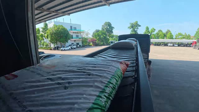 Conveyor Loading Feed Into Truck