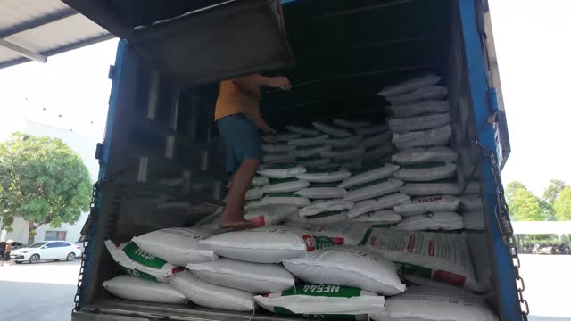 Loading Feed Sacks Into Truck