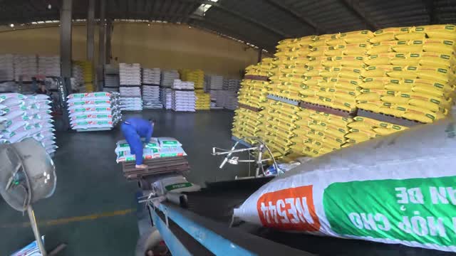Huge Feed Warehouse Storage