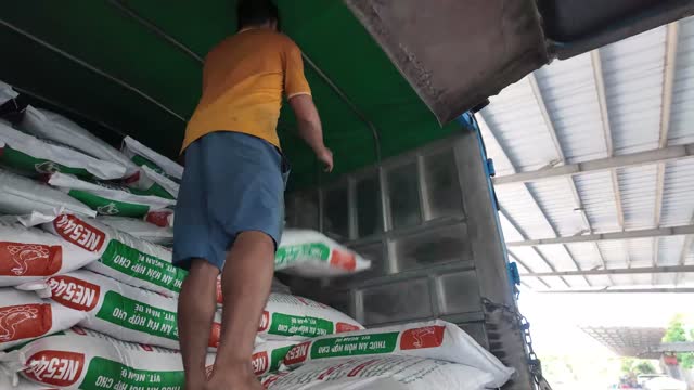 Loading Feed Sacks Into Truck