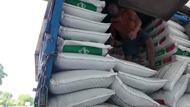 Loading Feed Sacks Onto Truck