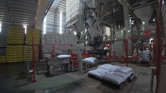 Palletizing Robot At Feed Mill