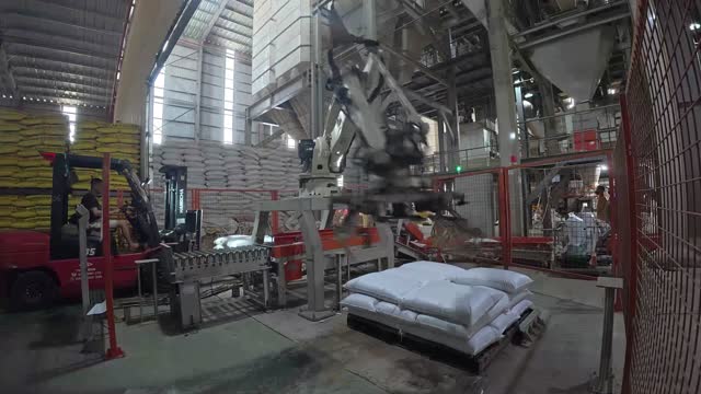 Robot Stacking Feed On Pallet