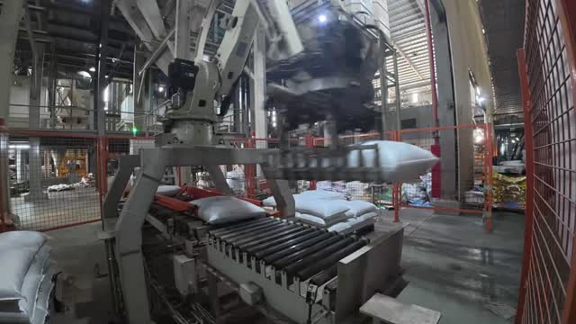 Automated Feed Palletizer Arm