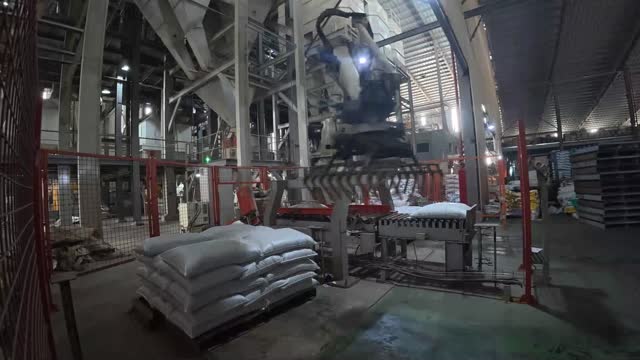 Palletizing Robot In Mill