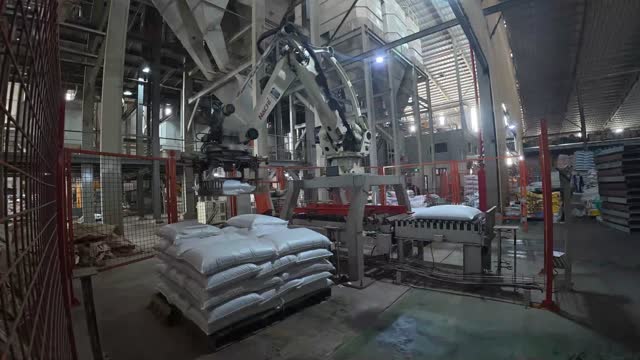 Automated Sack Stacking Line