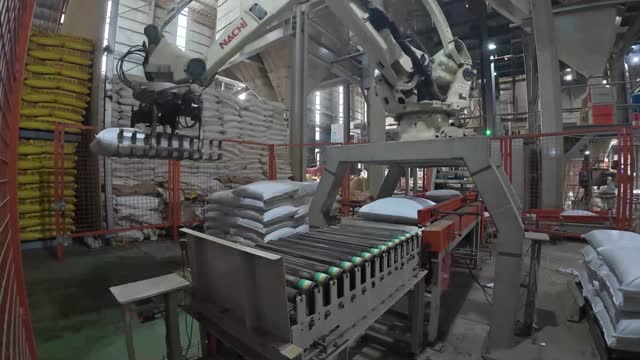 Automated Bag Stacking Robot