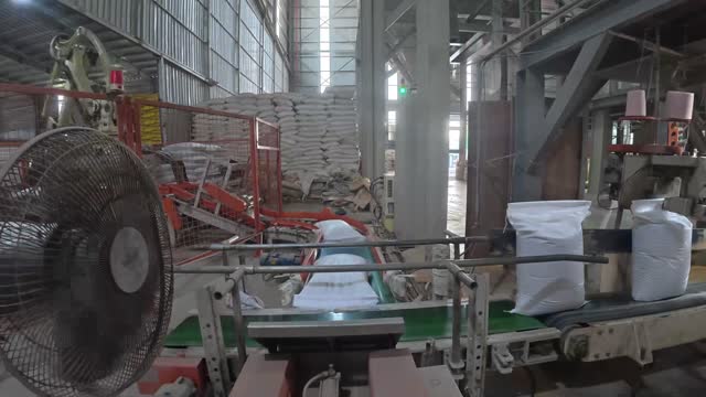 Feed Mill Conveyor Line
