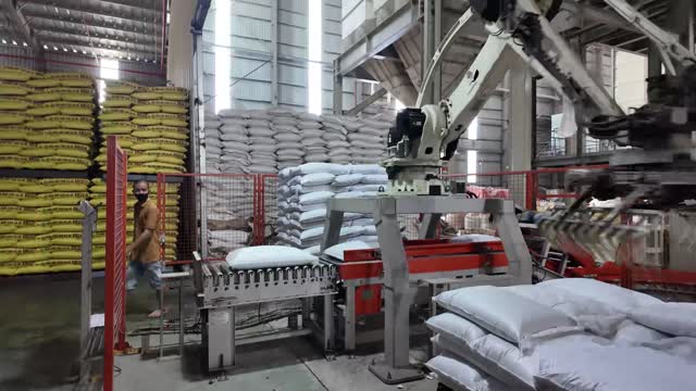 Robotic Palletizer Stacking Feed Sacks