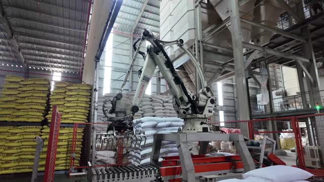 Automated Arm In Feed Factory