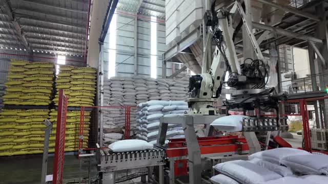 Robot Palletizing Line Feed Plant