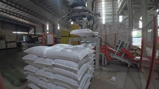 Palletizing Machine Stacking Sacks