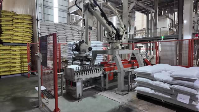 Robotic Palletizer Stacking Sacks