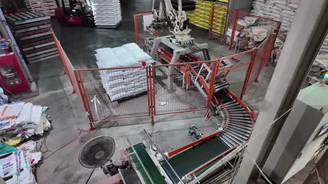 Palletizing Robot Behind Safety Fence