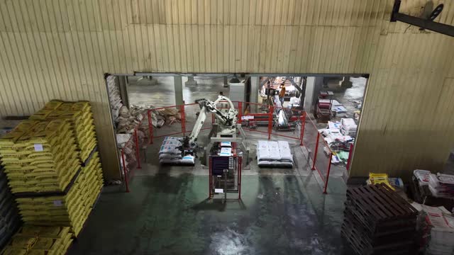 Palletizing Robot In Feed Warehouse