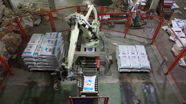 Palletizer Arm Lifting Sack