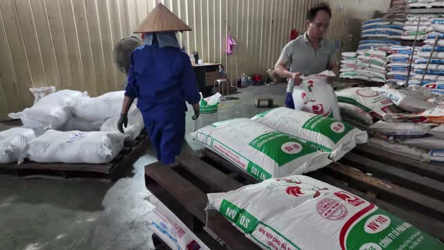 Filling Feed Sacks By Hand