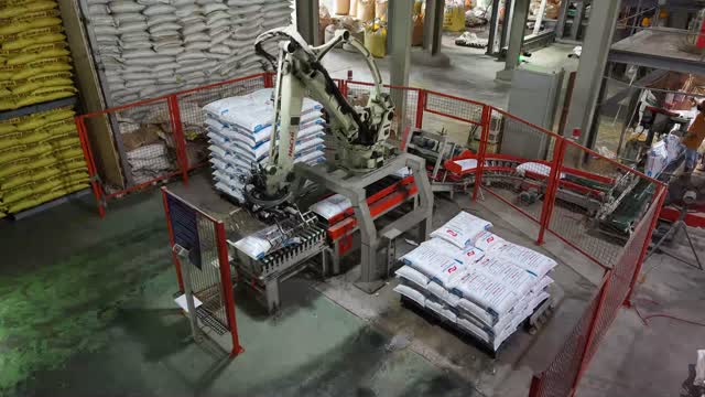 Robot Palletizer Stacking Feed