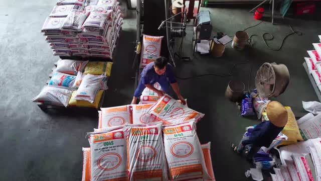 Workers Stacking Fertilizer Bags