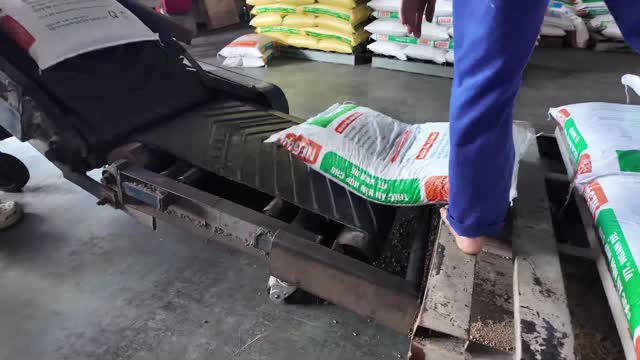 Feed Bag On Conveyor