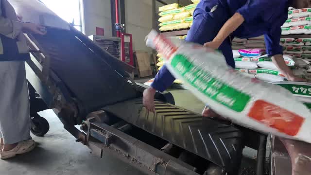 Workers Moving Feed Sacks