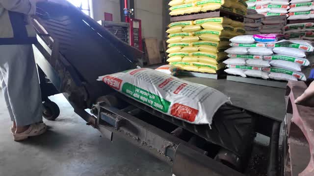Feed Bag On Conveyor Belt
