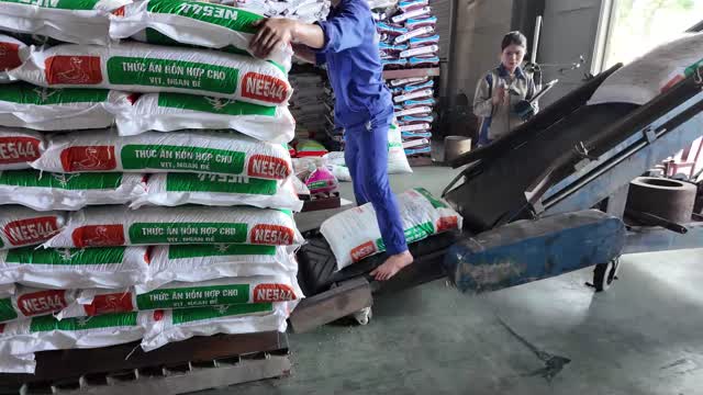 Loading Feed Onto Conveyor