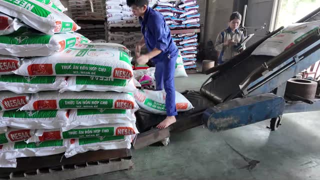 Workers Moving Feed Sacks