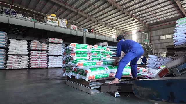 Feed Sacks On Conveyor Closeup