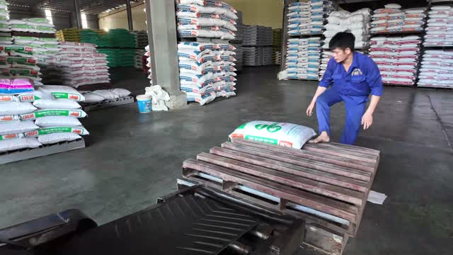 Loading Feed Sacks In Storehouse