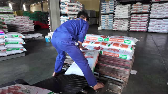 Loading Feed Sacks By Hand