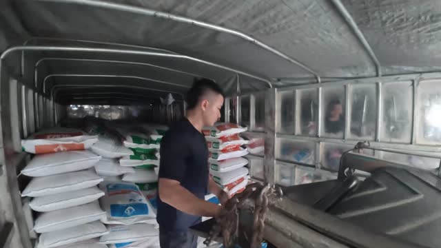 Worker Loading Sacks Into Truck