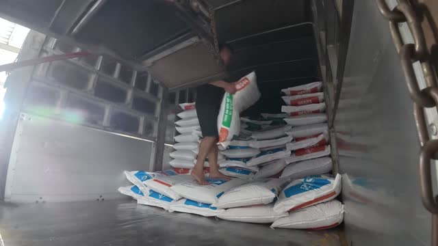Loading Feed Sacks Into Truck