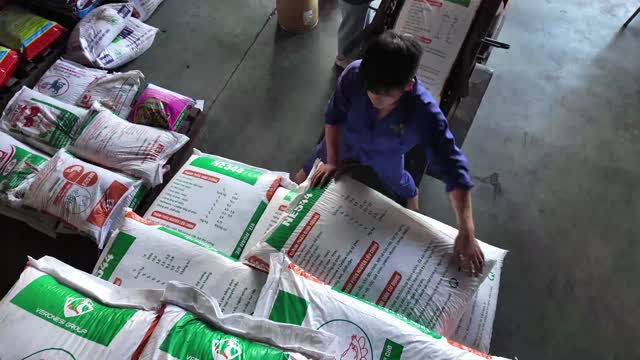 Arranging Sacks On Pallet