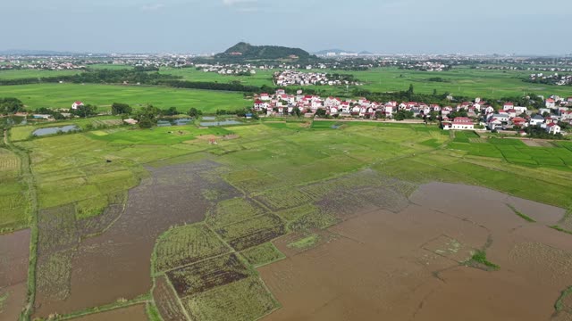 Village Above Green Rice Fields