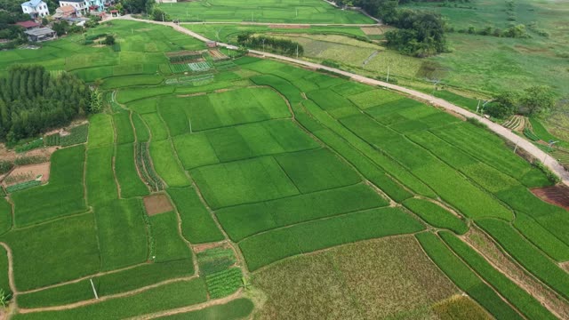 Rural Village And Fields