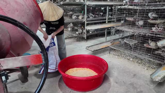 Scooping Feed Into Basin