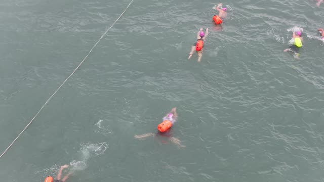Open Water Swimmers Stroking
