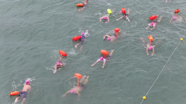 Pack Of Race Swimmers