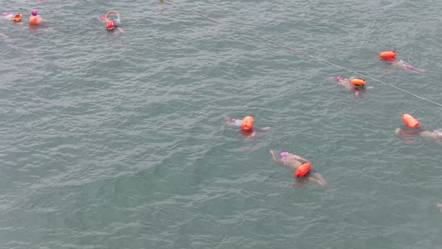 Scattered Swimmers Open Sea