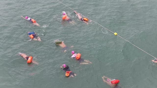 Swimmers Beside Lane Line