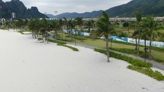 Palm Lined Beach Promenade