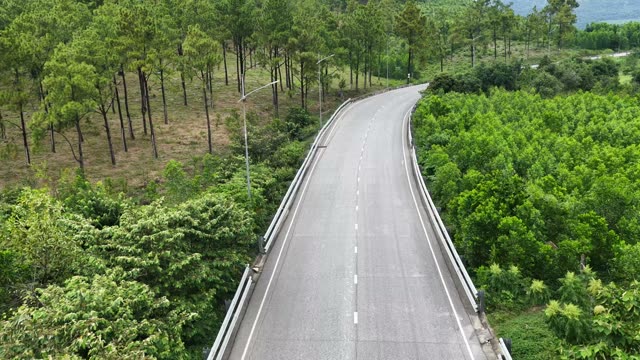 Mountain Road Between Trees