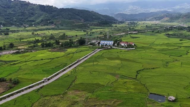Rice Valley And Village Road